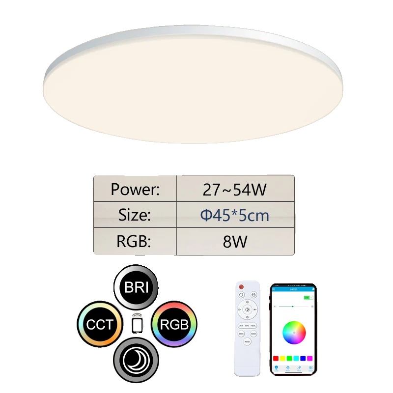 Deckenleuchte, Intelligente Steuerung, Energiesparend, 45 Cm (17,72 Zoll)
