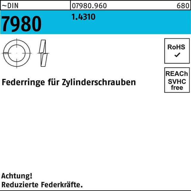 Federring DIN 7980 f.Zylinderschrauben 5 1.4310