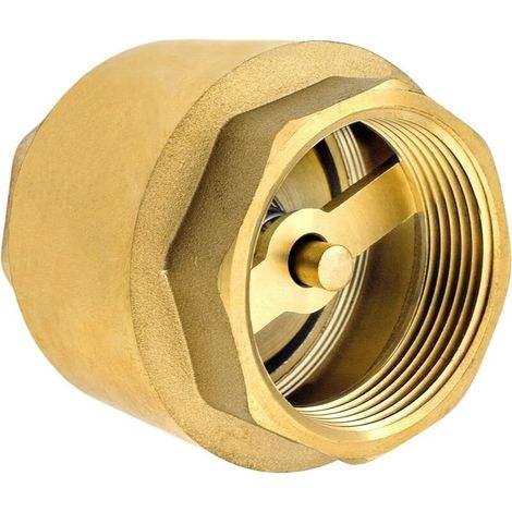 Hochwertiges, Robustes, Rostfreies Und Auslaufsicheres 1/2-zoll-rückschlagventil Aus Messing, Geeignet Für Pumpen, Springbrunnen, Waschmaschinen, Gärten, Regentonnen Und Eimer.