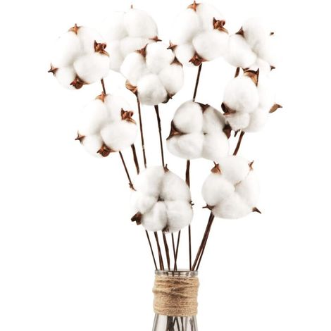 Packung Mit 30 Stück, Getrockneten Baumwollblüten Mit Stiel, 30 Cm