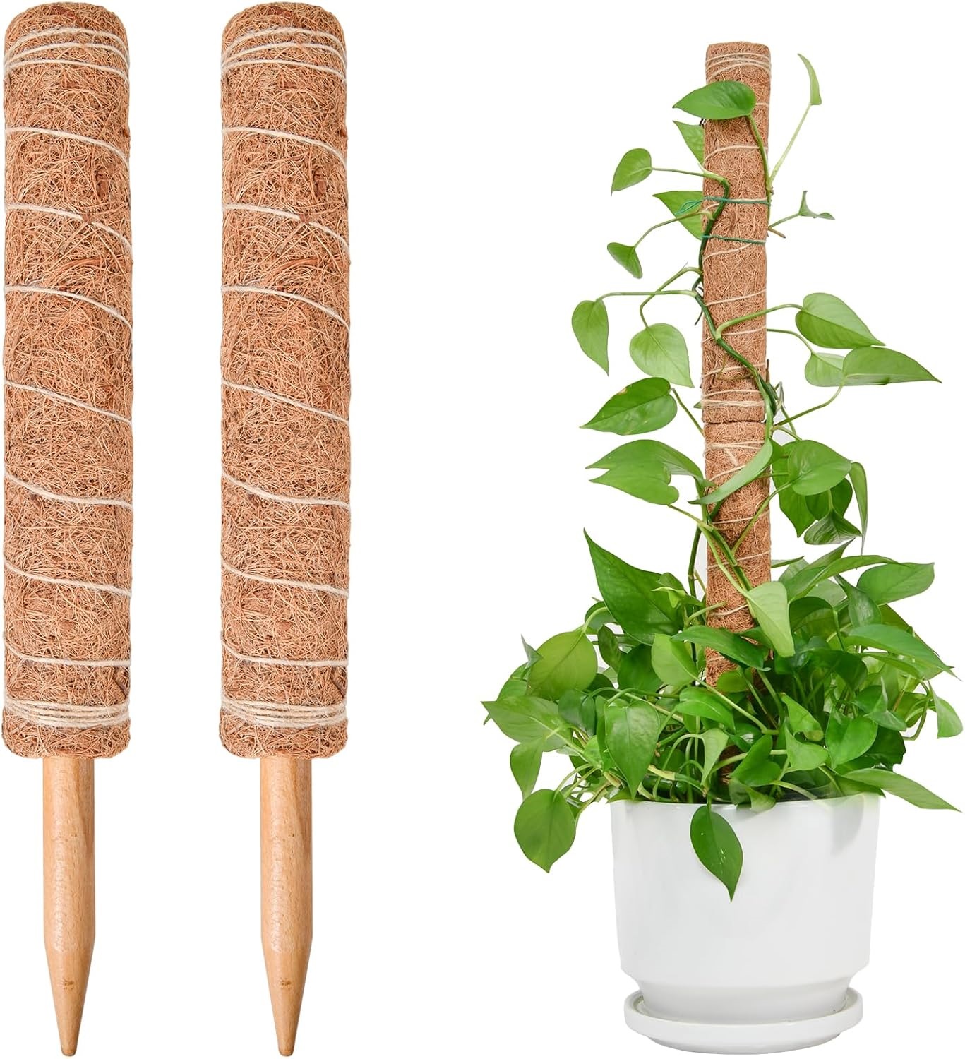 Monstera-pflanzenstütze, Sproutmaven Kletterpflanzenstütze, 2 Stück, 40 Cm Kokosnussstab, Totempfahl Für J-pflanzen