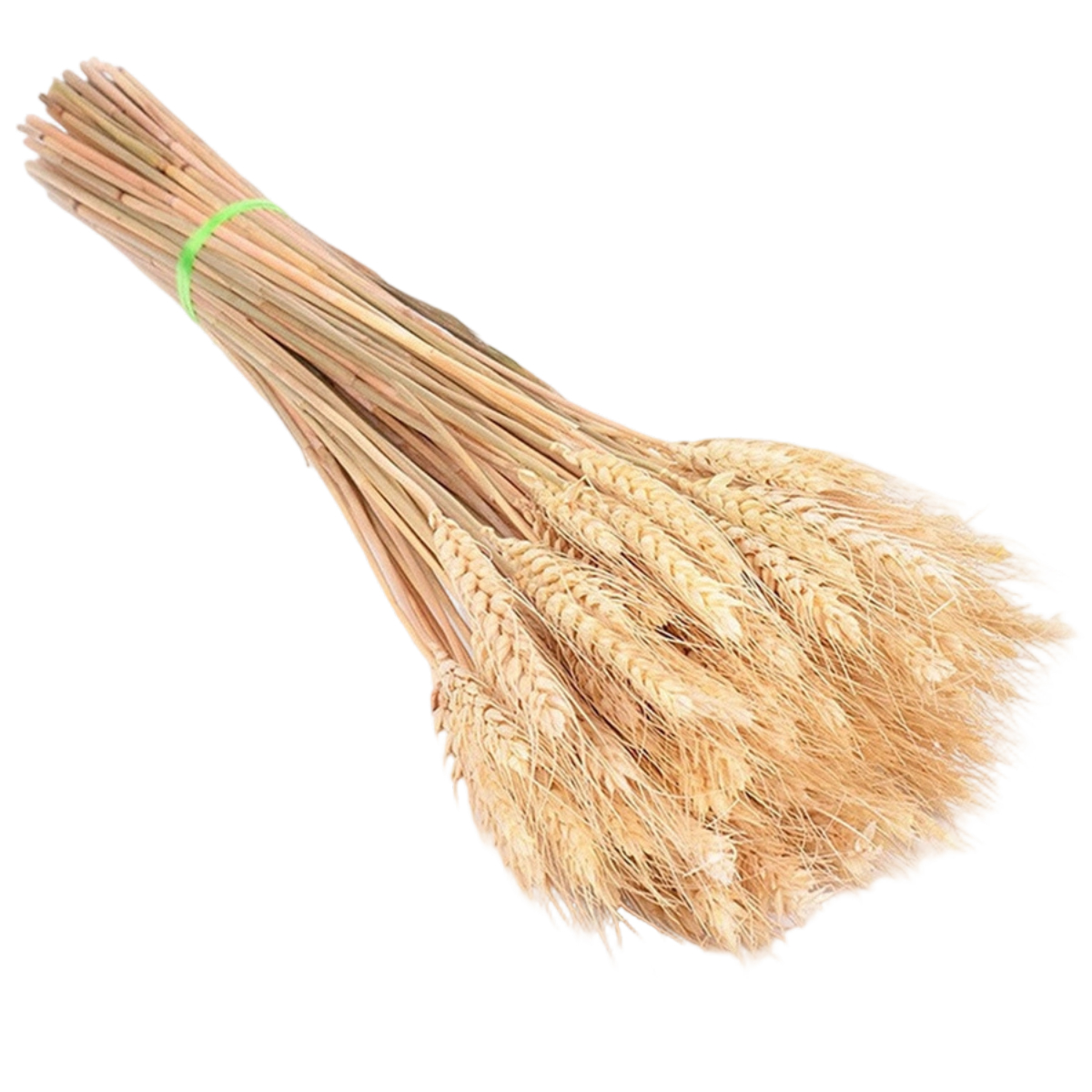 100 Getrocknete Weizenblüten (40 Cm), Natürlicher Strauß Für Kamin, Küche, Weihnachtskranz