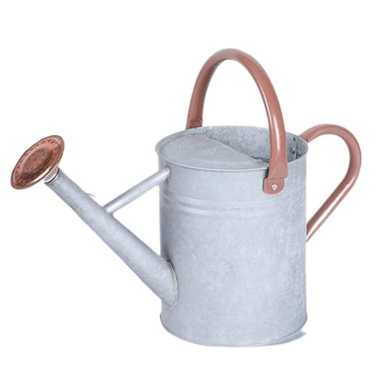 1-gallonen-metallgießkanne Mit Abnehmbarem Ausguss, Attraktive Gießkanne Aus Verzinktem Stahl Mit Geprägtem Muster Für Zimmer- Und Gartenpflanzen