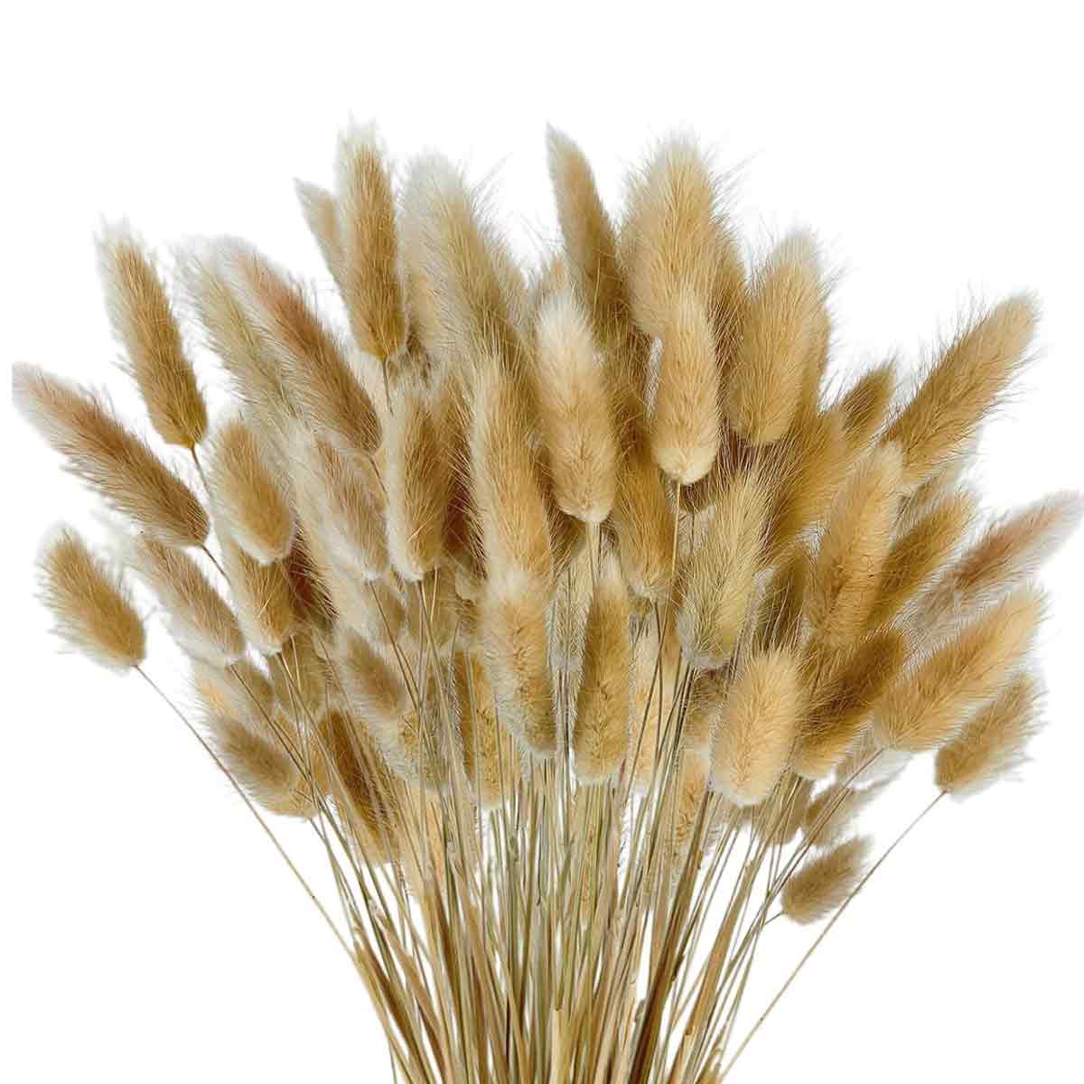 100 Stück Getrocknete Kaninchenschwänze Und Pampasgras, Böhmische Dekoration Für Blumenarrangements
