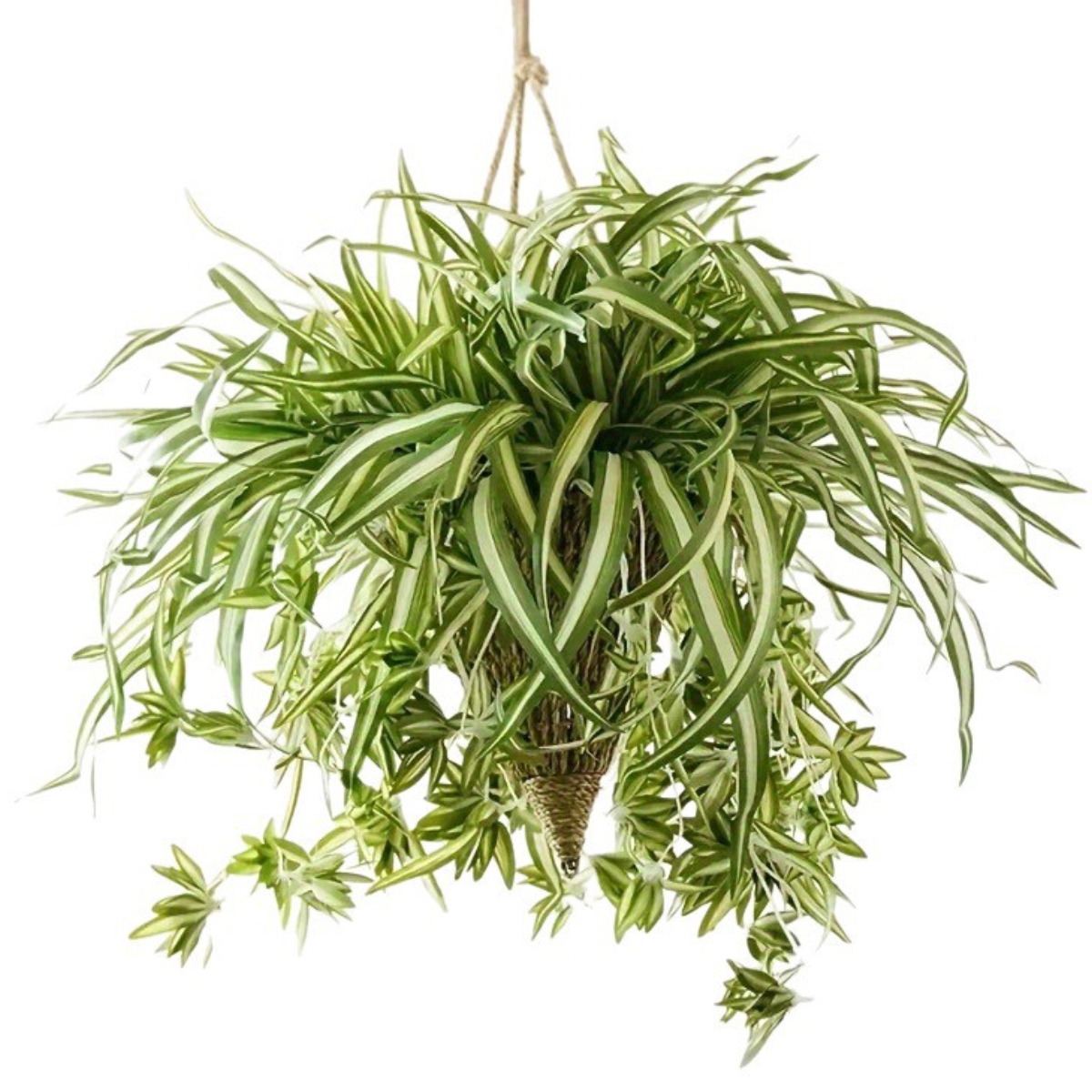 Set Aus 2 Künstlichen, Spinnenförmigen Wandbehängen Aus Chlorophytumseide, Zur Dekoration Im Innen- Und Außenbereich.