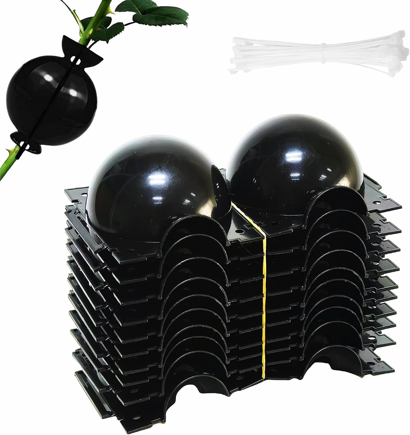 10 Stück - Abmoos-set - Stecklingskugeln - Transparent, Wiederverwendbar Für Schnelle Bewurzelung, Für Innen- Und Außengärten