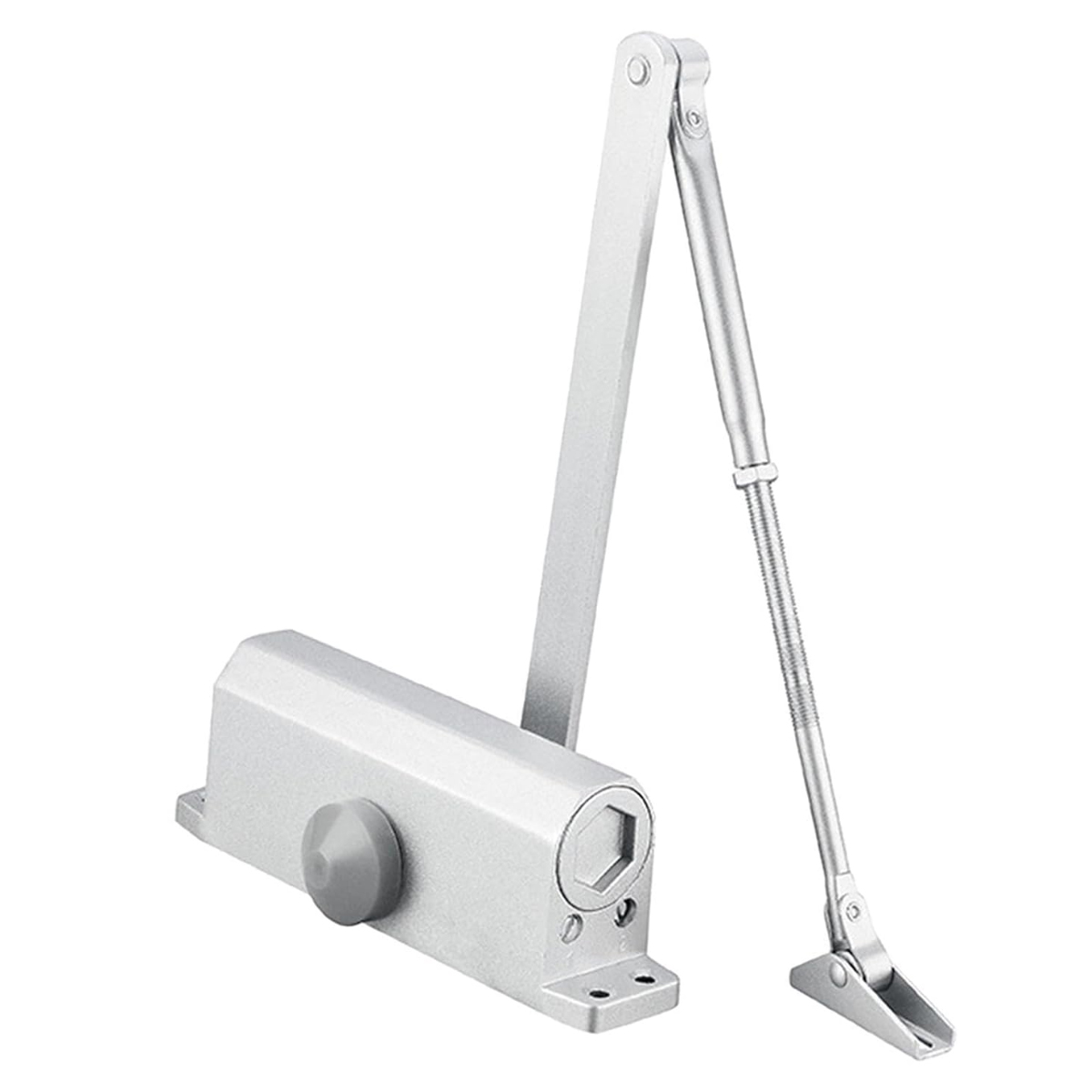 Türschließer Dc110 - Ev1 - Kraft 2/3 - Cf/pf - Silber - 19619000 - Türschließer Dc110 - Ev1 - Kraft 2/3 - Cf/pf - Silber - 19619000
