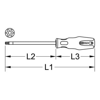 ERGOTORQUEplus Schraubendreher, TB20