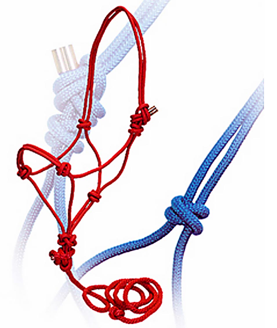 Rosso - Cavezza In Corda Annodata Con Lunghina In Nylon