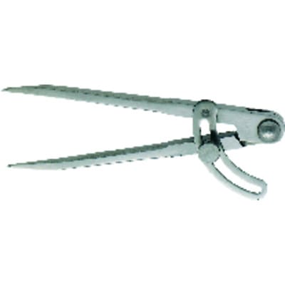 FORMAT Spitzzirkel mit Stellbogen 300mm