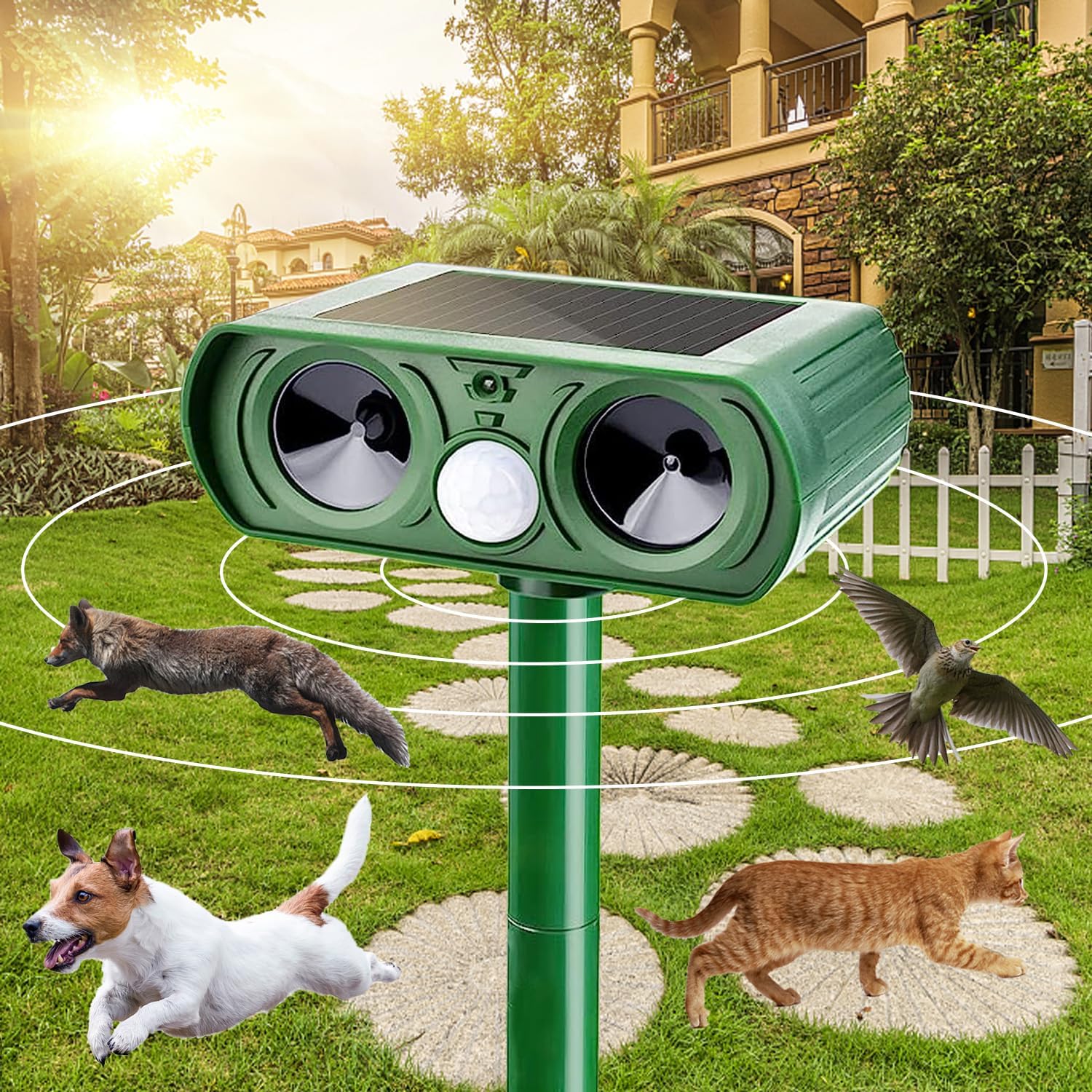 Katzenschreck Ultraschall, Katzenabwehr Solar Ultraschall Tiervertreiber, Katzenschreck Für Garten, Abwehr Wasserdicht Mit Bewegungsmelder, Katzenabwehr Garten, Abwehrmittel Für Haustiere
