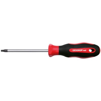 R38401419 2K-Schraubendreher tx T25 100 mm
