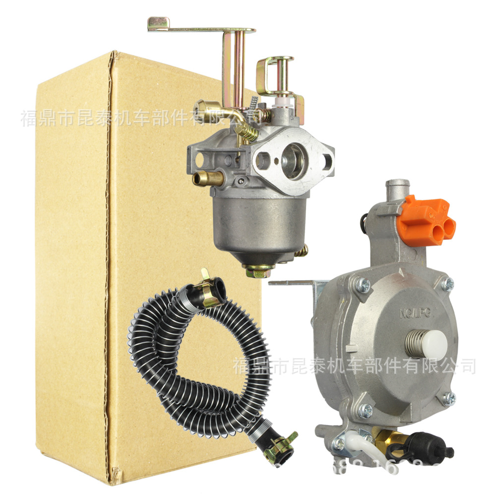 Benzin-gas-generator-set Mit Zweistoffvergaser 1 Kw 154f Für Gt241 P15a-lpg