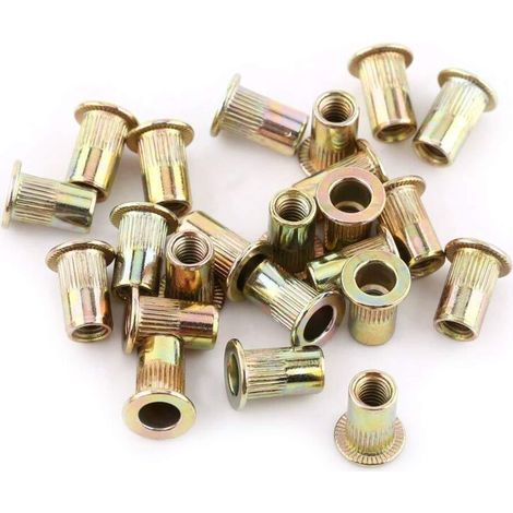 100/20 Stück M3-m12 Flachkopfnietmuttern Aus Kohlenstoffstahl, Flanschnietmuttern, Befestigungsmuttern Und Einpressmuttern (m6/100 Stück), A