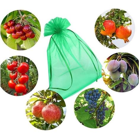 (30 X 20 Cm, 100 Stück) Grüne Schutzbeutel Für Weintrauben Mit Kordelzugverschluss, Vollständiger Schutz Vor Wespen Und Vögeln