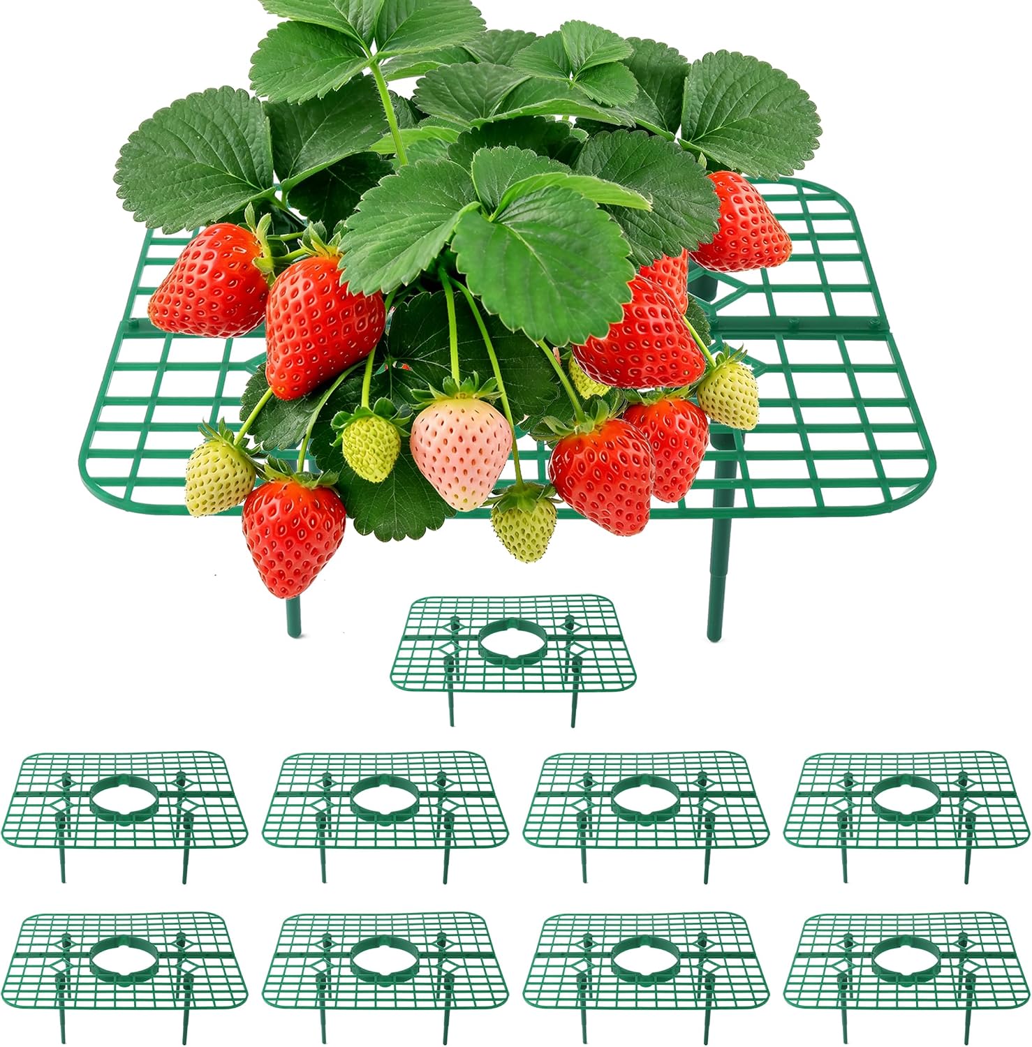 Erdbeerpflanzenstützen, 10 Quadratische Stützen Zur Befestigung Von Erdbeeren Über Dem Boden, Für Den Erdbeeranbau Im Freien
