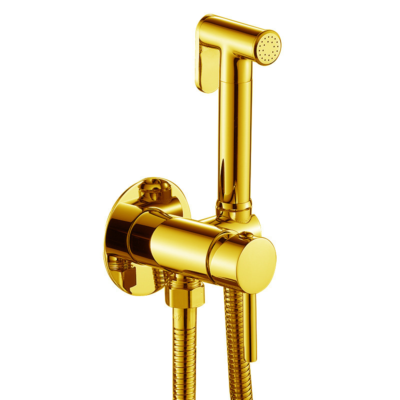 Handbrausekopf Aus Edelstahl Für Bad Oder Wc, Multifunktionale Duschpistole, Gold