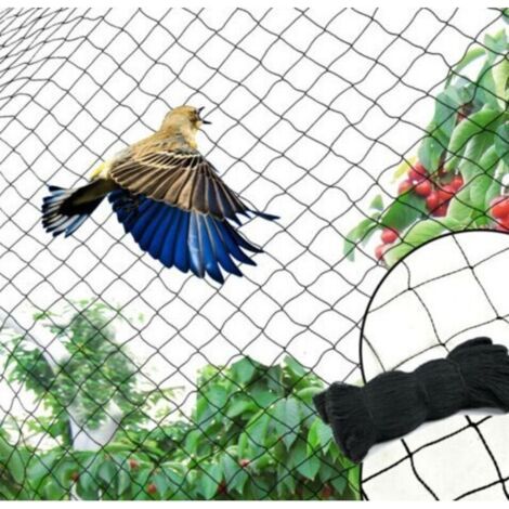 Vogelschutznetz, Schwarzes Vogelschutznetz, Zum Schutz Von Gärten, Pflanzen Und Weinreben Vor Schäden (25 Fuß 50 Fuß 2 Zoll)
