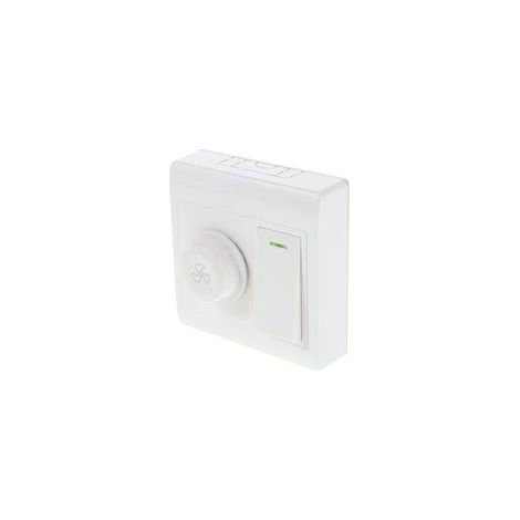 Wandschalter Für Deckenventilator Und Beleuchtung, Aufputz-bedienfeld, Drehzahlregler, Dual-lüfter- Und Lichtsteuerung Für Zuhause