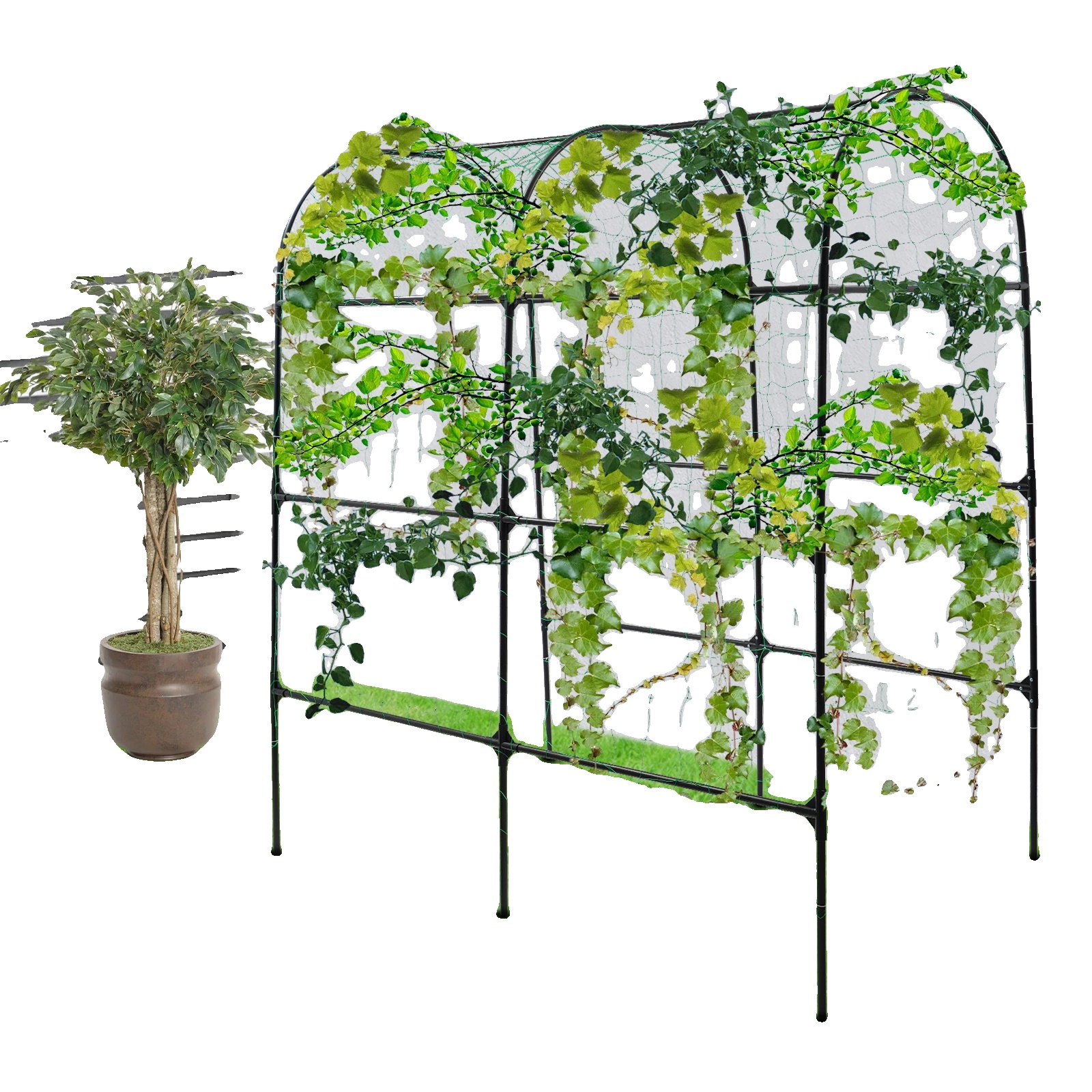 Gartenbogen, Stabile Konstruktion, Elegantes Design, M