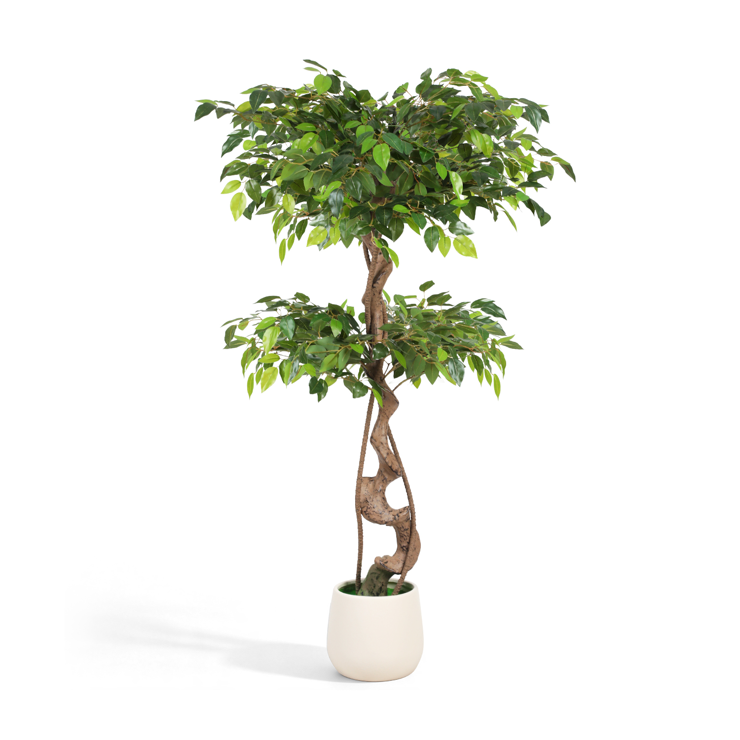 Randaco Ficus Kunstpflanze 120 Cm, Ohne Gießen, Schneiden Oder Düngen