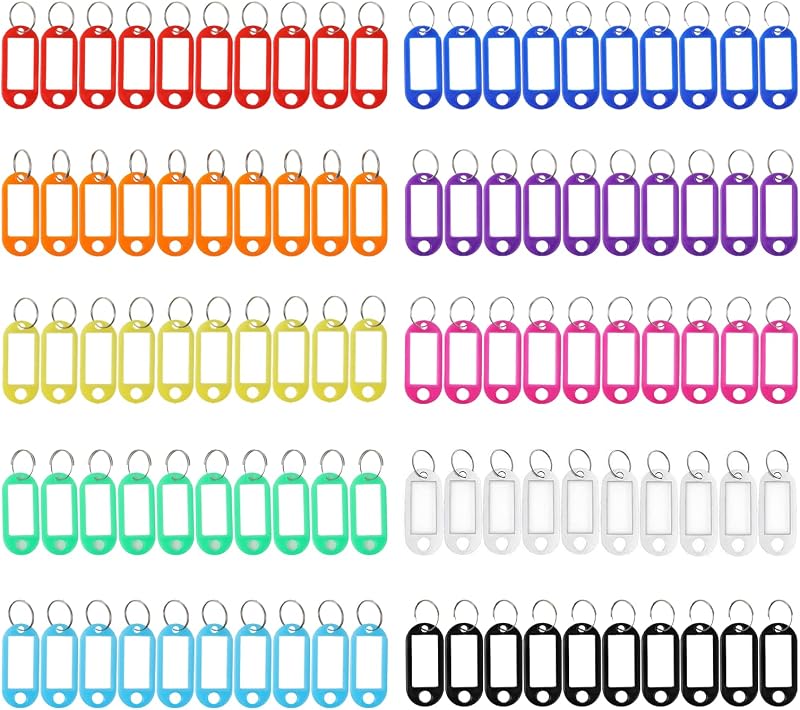 100 Individuell Gestaltbare Schlüsselanhänger, Kunststoffanhänger Mit Ring, Ideal Für Schlüssel, Gepäck Und Haustiere (10 Farben)