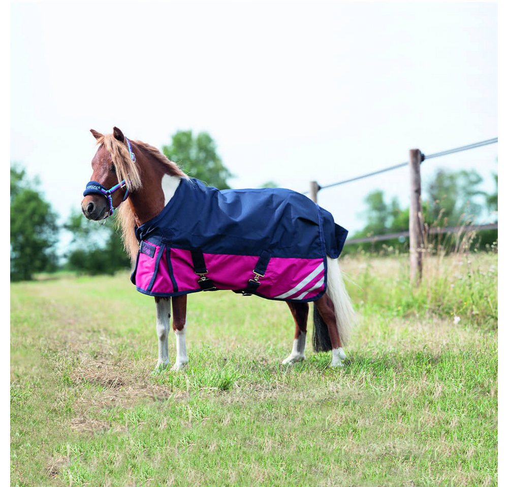 85 Cm, Heidelbeere B3101: Paddockdecke Für Fohlen Und Ponys Aus 600 Denier Außenmaterial Mini Modell Bild 2