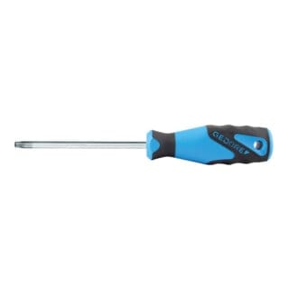2163 tx T6 3K-Schraubendreher tx T6