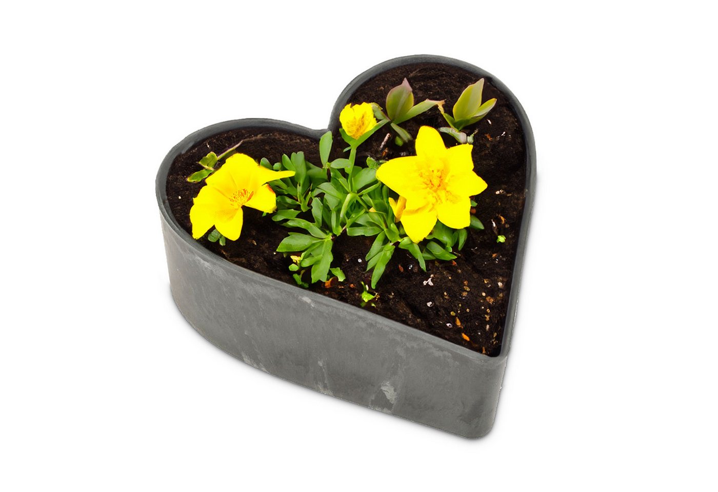 matches21 HOME & HOBBY Blumentopf Herz Pflanzschale für draussen marmoriert Dekoschale schwarz 22 cm (1 St), Blumen-Schale als wetterfeste Friedhof-Schale Grab-Schmuck Grabschale Bild 3