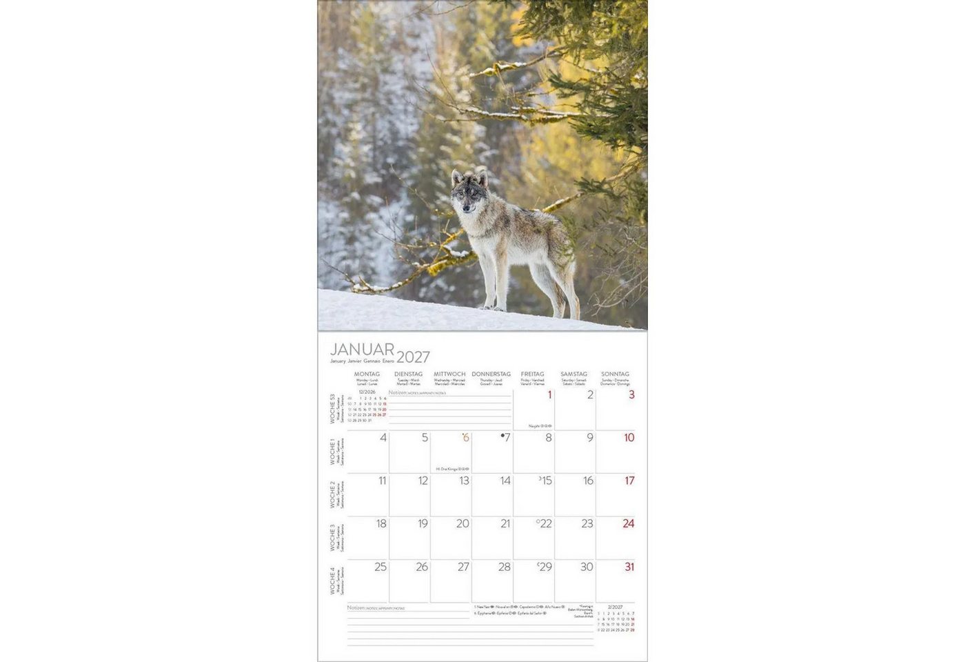 Korsch Verlag Wandkalender Wölfe 2027 Bild 3