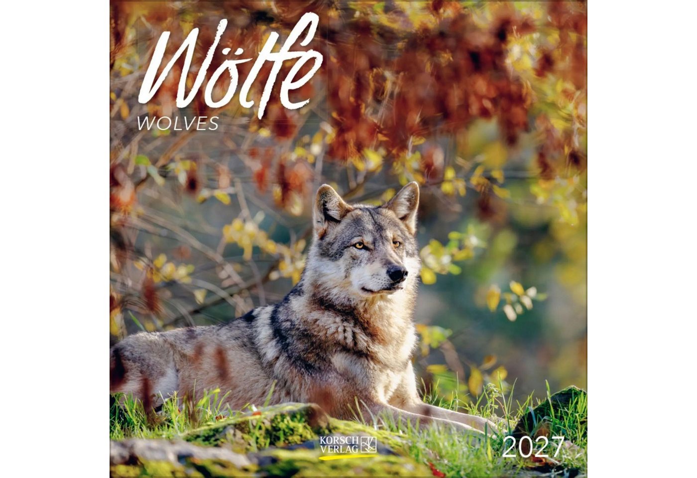 Korsch Verlag Wandkalender Wölfe 2027 Bild 4