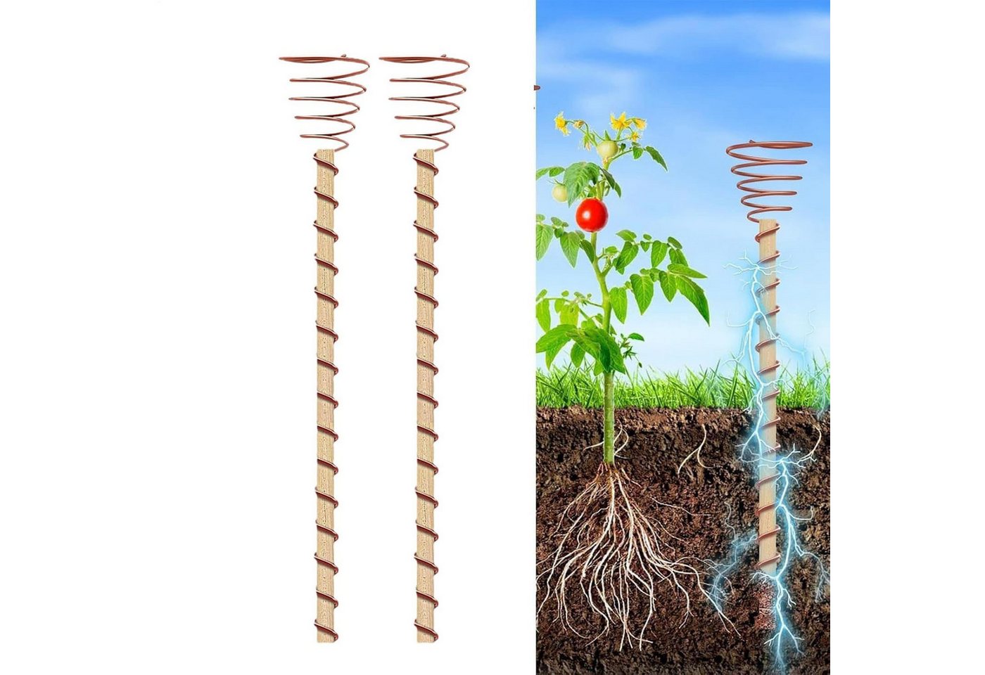 FELIXLEO Schneckenzaun Gartenbau Kupferspulen 35 cm Elektrokultur Pflanzstäbe, 1-St. Bild 3