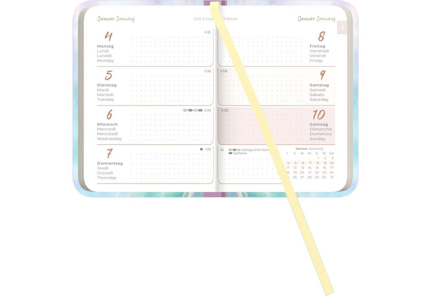 Taschenkalender Lady Journal Mini Blowballs 2027