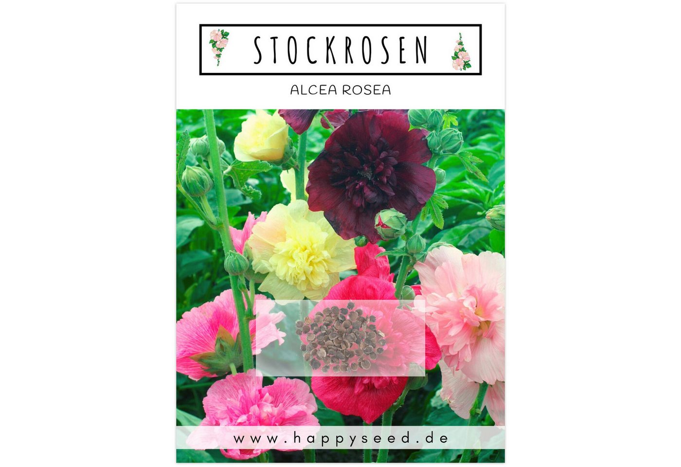 HappySeed Blumensamen Stockrosen Samen - Alcea Rosea (Mix), Rosen Bild 5