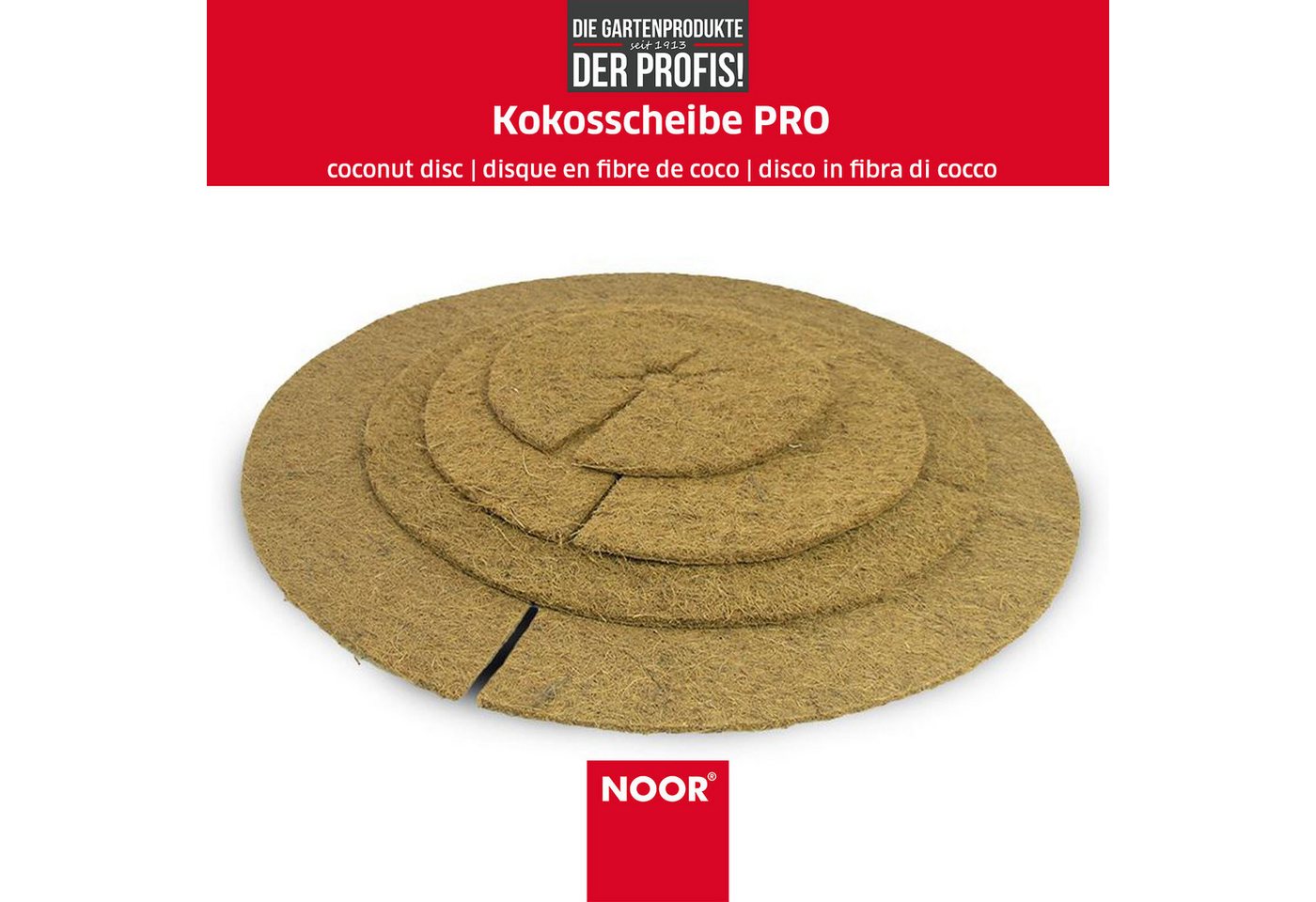 NOOR Kokosscheibe PRO für Kübelpflanzen - natürliche Kokosfasern als Winterschutz, ganzjähriger Wurzelballen-Schutz für empfindliche Pflanzen Bild 2