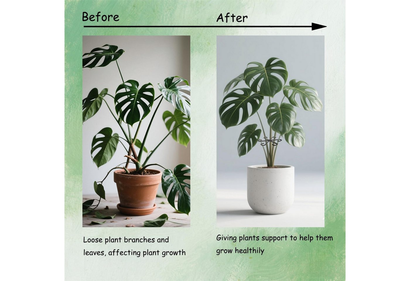 Coonoor Rankhilfe 16 Stück Pflanzenstütze,Pflanzenstielhalter Pflanzen Stütze, für Monstera Rankhilfe und Alocasia, Tomaten Hortensien Bild 3