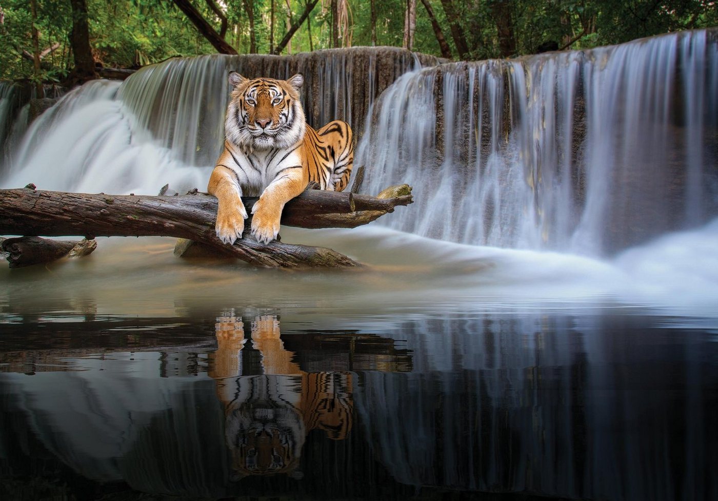 Wallarena Fototapete Wasserfall - Mehrfarbig - Modern - Vlies - Schlafzimmer, glatt, 104x70cm Bild 3