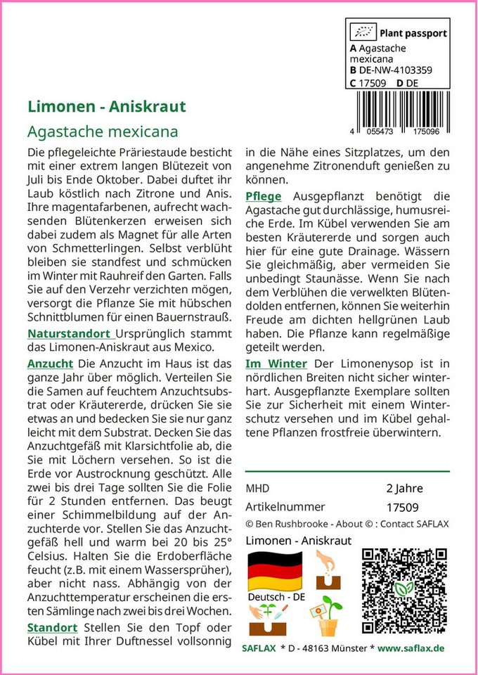 SAFLAX Kräutersamen SAFLAX - Geschenkset - Limonen - Aniskraut Bild 3