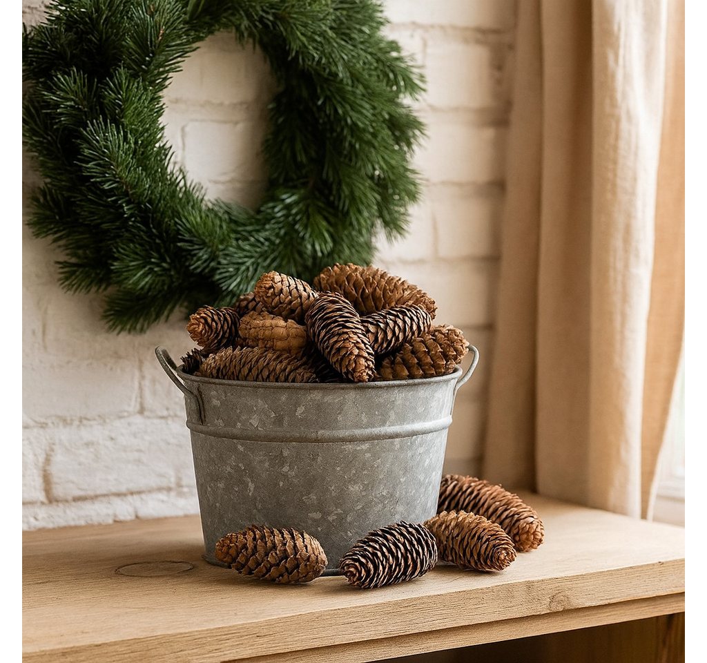 NaDeco Bastelnaturmaterial Fichtenzapfen in Natur, 1kg Picea abies Bild 2