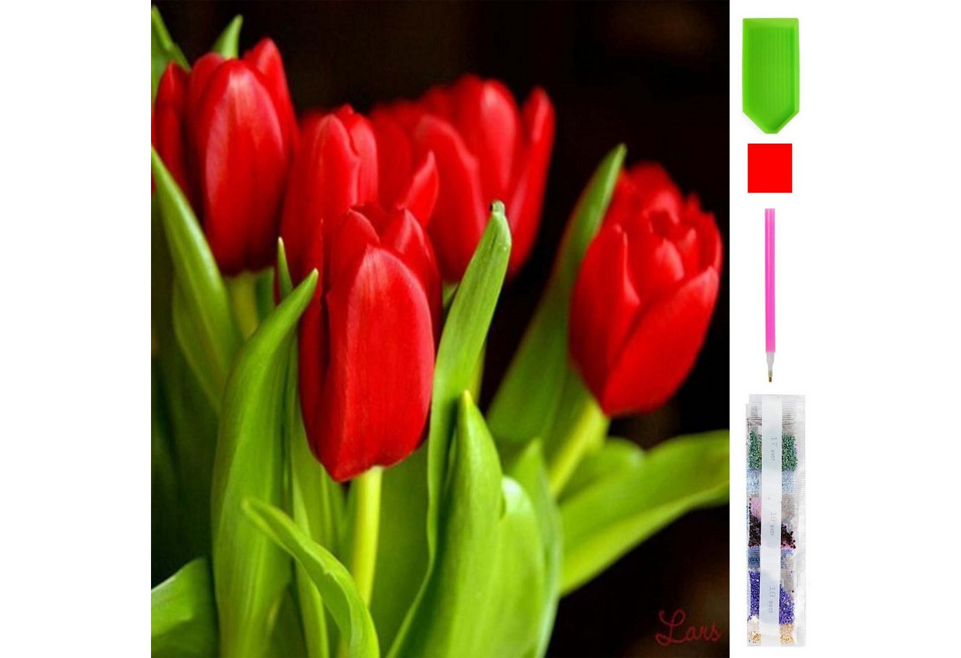 Realb2b Malen nach Zahlen 5d Diamond Painting Tulpen Malen nach Zahlen 20x20cm (Komplettset für 5D Diamond Painting inklusive Leinwand, Diamanten und Werkzeugen, Diamond Painting Set mit Zubehör für DIY-Kreativität und Entspannung), 20x20cm 5D Diamond Painting mit präziser Klebeschicht & Zubehör Bild 4