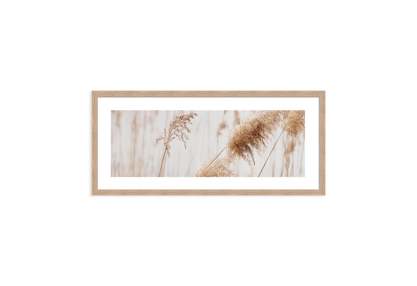 artissimo Bild mit Rahmen Gerahmtes Poster 70x30 cm / Wandbild modern / Wanddeko lang schmal, Natur und Gräser: Pampasgras in Beige Weiß Bild 4
