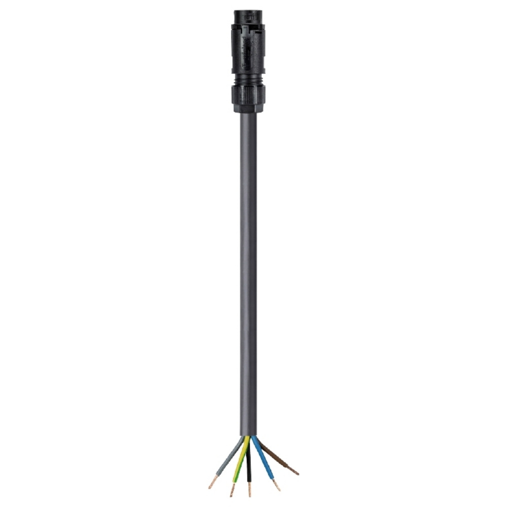 Wieland Electric 46.452.20c4.1 Anschlussleitung Schwarz