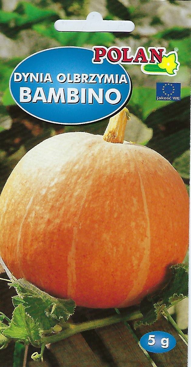 Platinet-samen, Riesenkürbis Bambino, Cucurbita Maxima Bambino-samen, 5 G