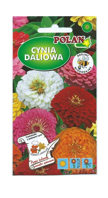 Platinet-zinniensamen (zinnia Elegans) 1 G