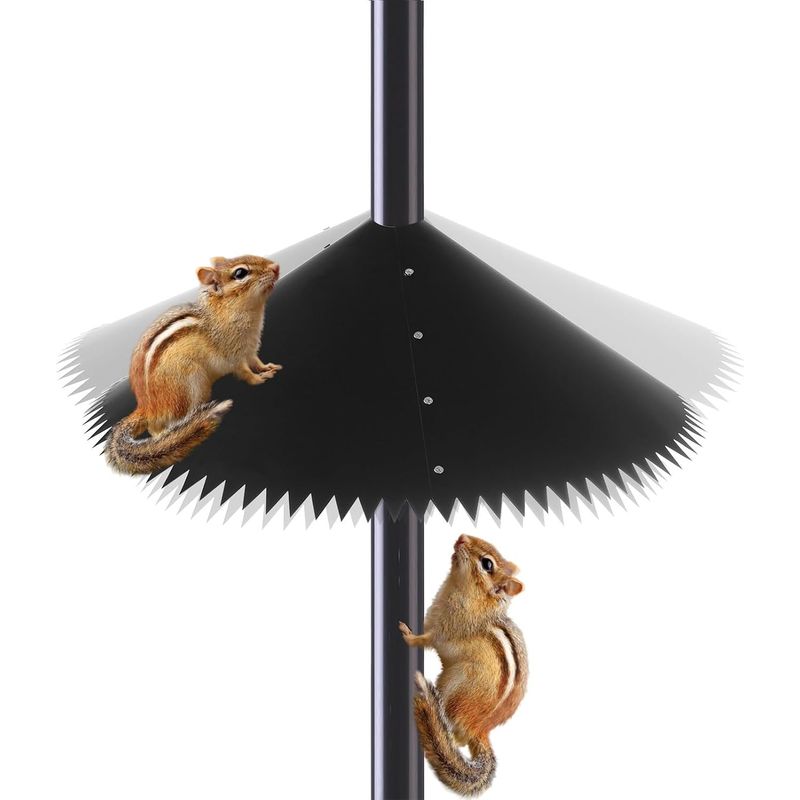 Eichhörnchenschutz - Anti-eichhörnchen-barriere - Frühlingsfutterspender
