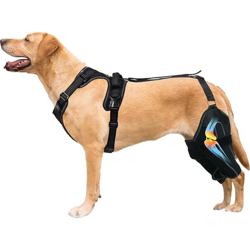 Hüftorthese Für Hunde Mit Verstellbaren Metallstabilisatoren