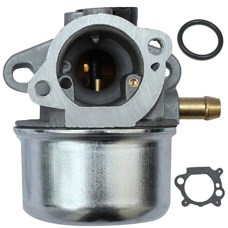 Vergaser Mit Dichtung, Kompatibel Mit Briggs & Stratton 799868 498254 497347 497314 498170 694202