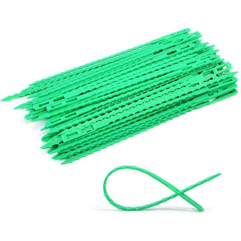 80 Tomatenpflanzenstützen, Verstellbare, Grüne, Flexible Kunststoffbänder, 17 Cm, Zur Unterstützung Von Pflanzen In Gewächshäusern, Gärten Oder Auf Balkonen