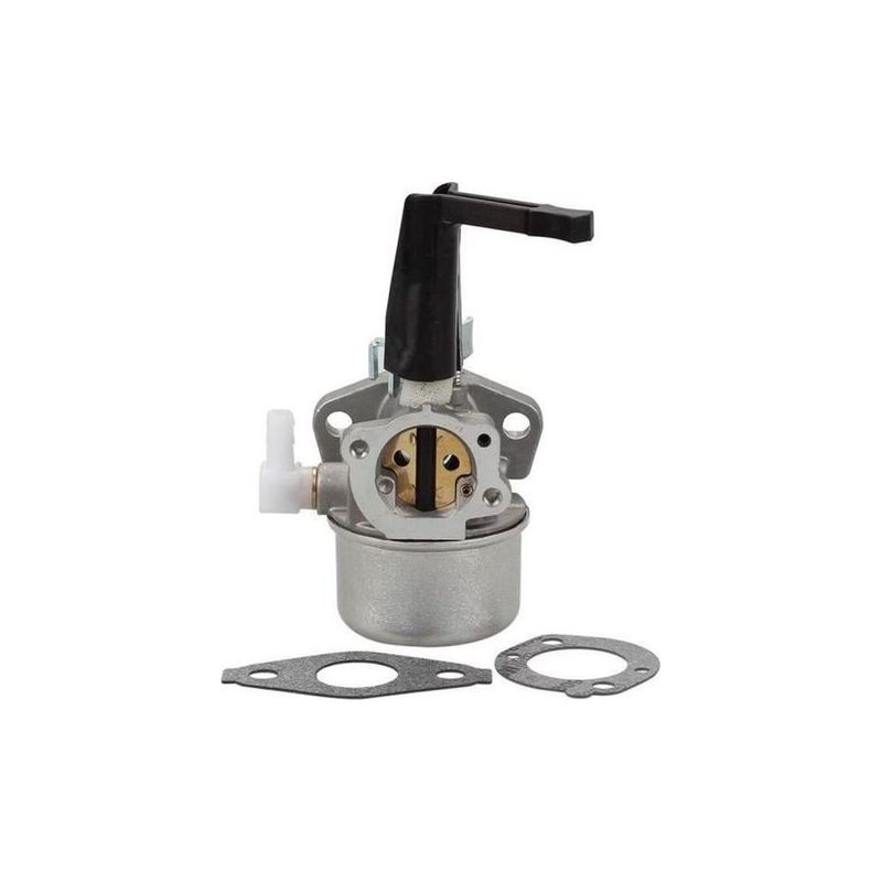 Dbbegk Vergaser Für Briggs & Stratton Motor 696065 697422 110412 110402 Bi22789