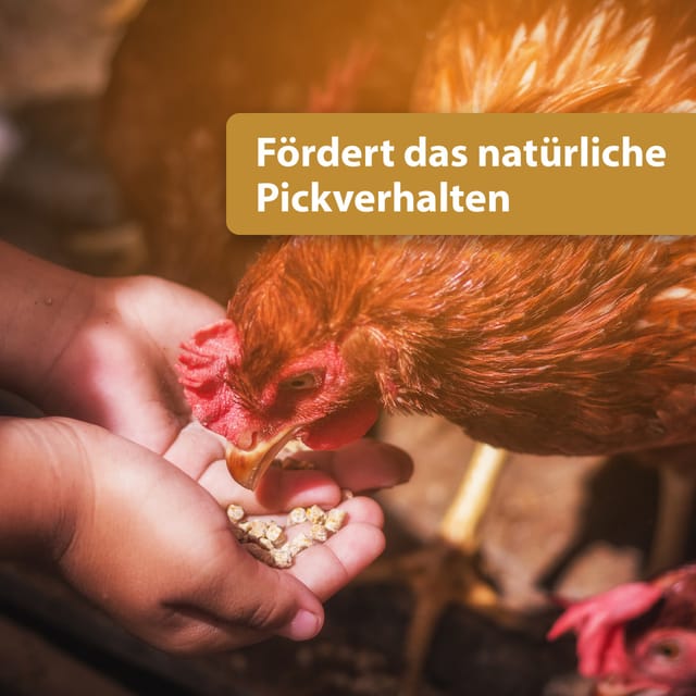 Quiko Hobbyfarming Mini Popcorn für Hühner und Geflügel 500 g